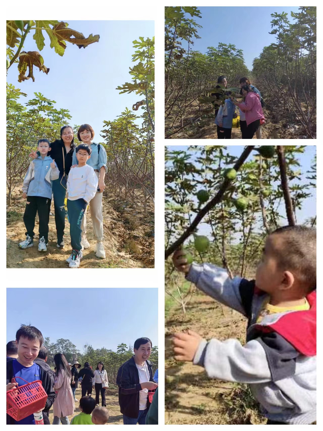 威廉希尔足球官网